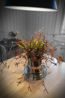 Wohnzimmer-Deko-mit-Tulpen-in-gelb.png