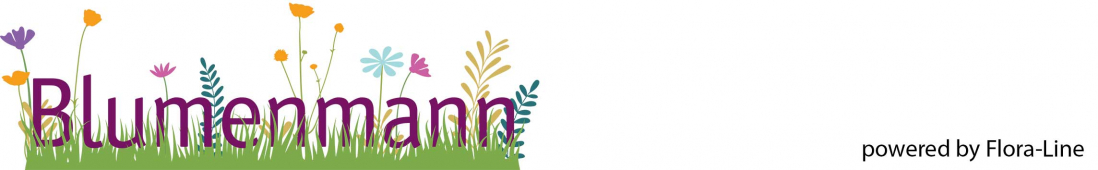 blumenmann_banner.jpeg