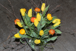 Frühlingsstaruss gelb orange (ausgeliefert in Oberdiessbach am 22. Februar 2016)