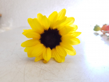 Sonnenblumenblüte
