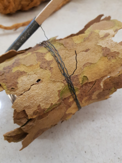 Rindenstücke um die Blechdose gewickelt
