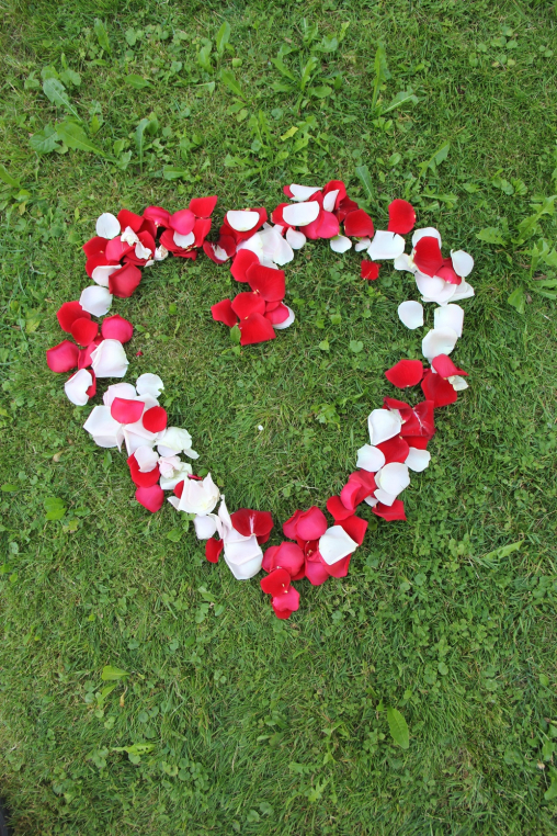 Gezupfte Rosenblüten zu einem Herz geformt