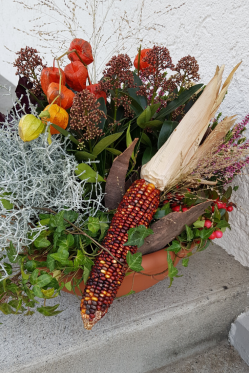 pflanzenarrangement-herbst-winter-Pflanzenschale-diy-anleitung.png