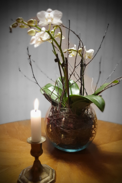 wohnzimmer-Deko-in-weiss-.png