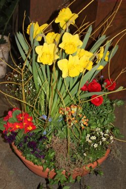 Pflnzenschale für Beerdigung (ausgeliefert auf den Friedhof in Grosshöchstetten am 11. April 2014)