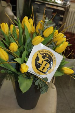 Tulpenstrauss gelb mit YB Logo (ausgeliefert in Grosshöchstetten am 4. März 2014)