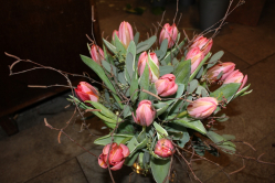 Tulpenstrauss rosa (ausgeliefert in Walkringen am 8. April 2014)