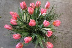 Tulpenstrauss rosa (ausgeliefert am 1. März 2014 in Konolfingen)