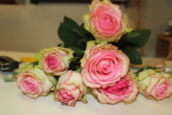 Esperance Rosen (ausgeliefert in Grosshöchstetten am 10. März 2014)