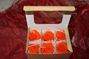 Gefriergetrocknete Rosen orange