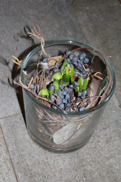 Hyazinthenglas (ausgeliefert in Grosshöchstetten am 21. Februar 2014)