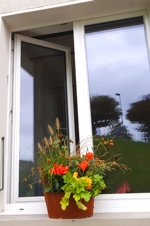Herbstliche Fensterbank Dekoration selber machen - Blumen Flora-Line