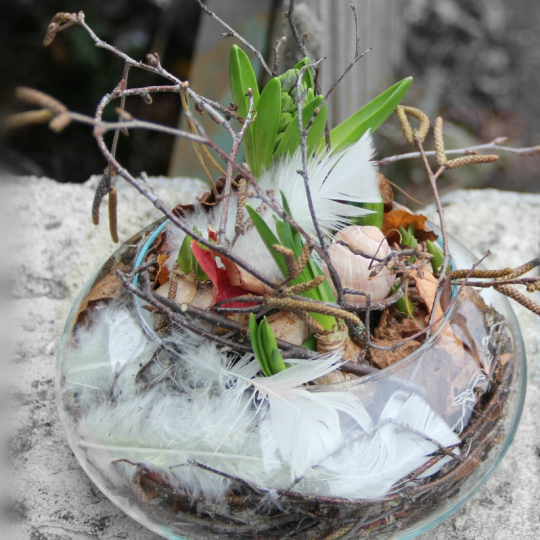 Hyazinthen-Narzissen-Muscari-in-Glas-Fruehlingsdekoration.png