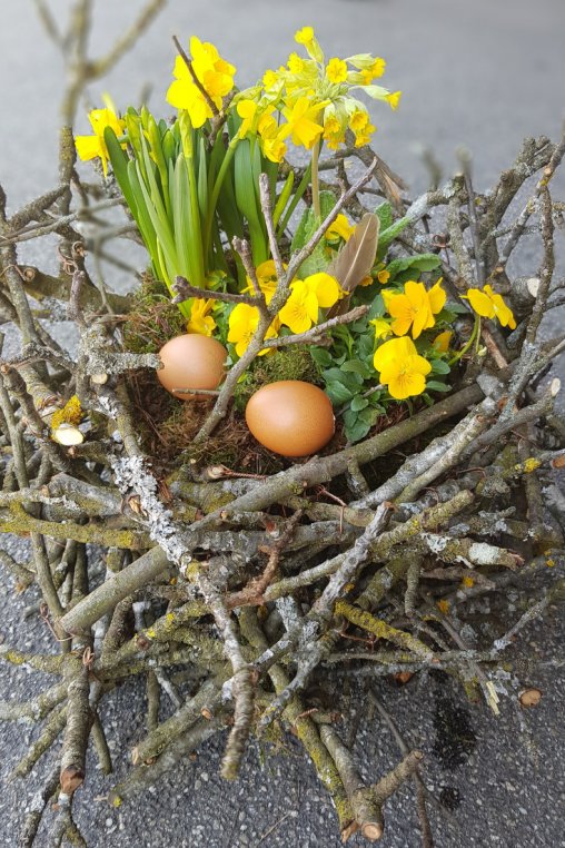 Nest-mit-Zweigen-zum-selber-machen-Oster-Deko.png