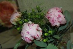 Pfingstrosen rosa (ausgeliefert in Grosshöchstetten am 2. Juni 2014)