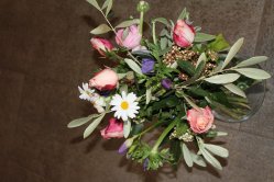 Annarosen Strauss (ausgeliefert in Grosshöchstetten am 3. Januar 2014)