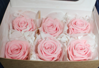 Gefriergetrocknete Rosen pink/pastell