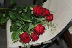 Rosenstrauss rot (ausgeliefert am 23. Juni 2014 in Grosshöchstetten)