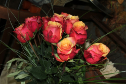 Rosenstrauss Cherry Brandy (ausgeliefert in Grosshöchstetten am 23. Januar 2014)