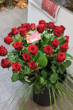 Rosenstrauss rot (ausgeliefert in Grosshöchstetten am 12. Februar 2014)