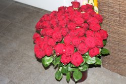 Strauss mit roten Rosen (ausgeliefert in Zäziwil am 10. Januar 2014)