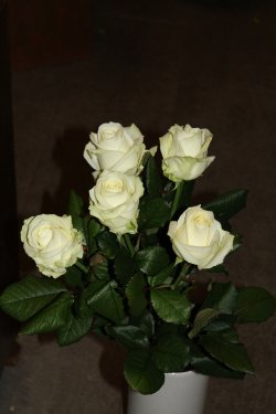 Rosenstrauss weiss mit 5 Rosen (ausgeliefert am 17. Januar 2014 in Grosshöchstetten)