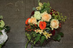 Strauss orange (ausgeliefert in Bowil am 22. Mai 2014)