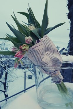 Tulpen-Bund-selber-machen-DIY-Anleizung-Fruehlings-Dekoration-1.png