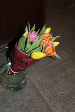 Tulpenbund gemischt (ausgeliefert am 3. Februar 2014 in Grosshöhstetten)