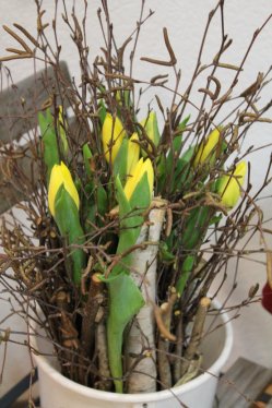 Tulpenstehstrauss (ausgeliefert in Grosshöchstetetten am 3. Februar 2014)