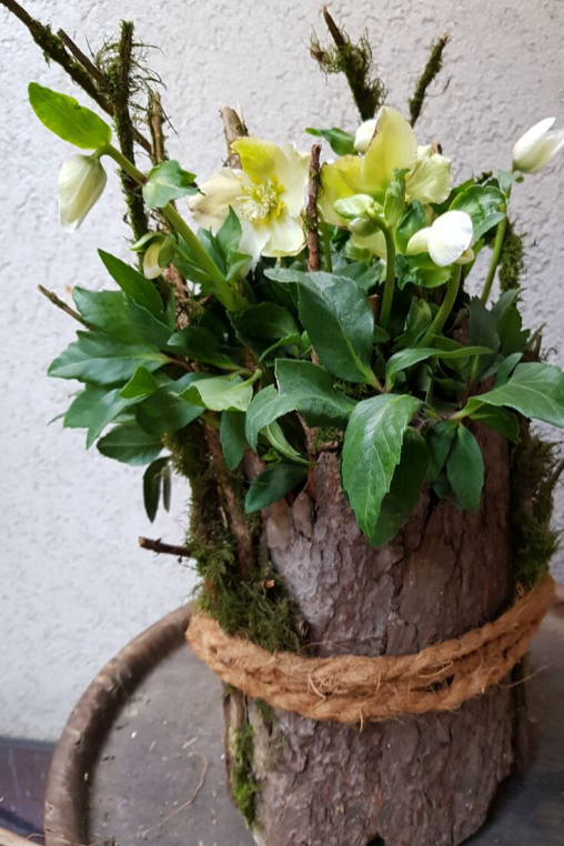 Weihnachts-Deko-idee-selber-amchen-DIY-ANleitung-Winterfloristik-mit-Christrosen.png